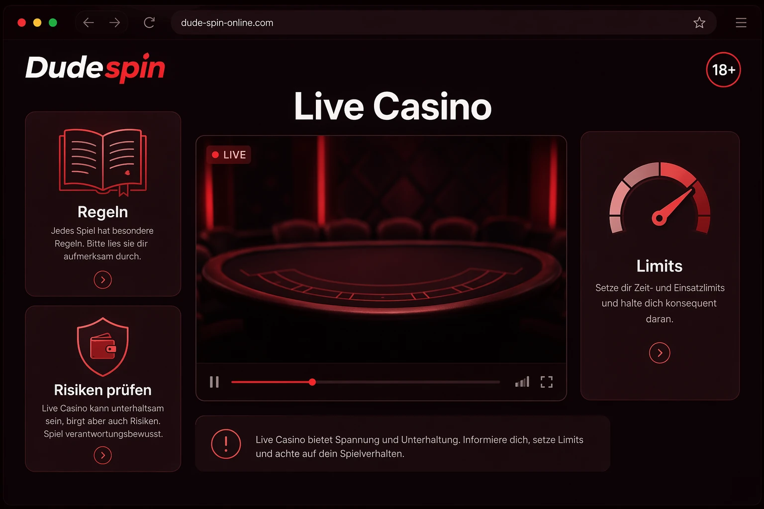Fazit: Live Casino als Format mit eigenen Regeln verstehen